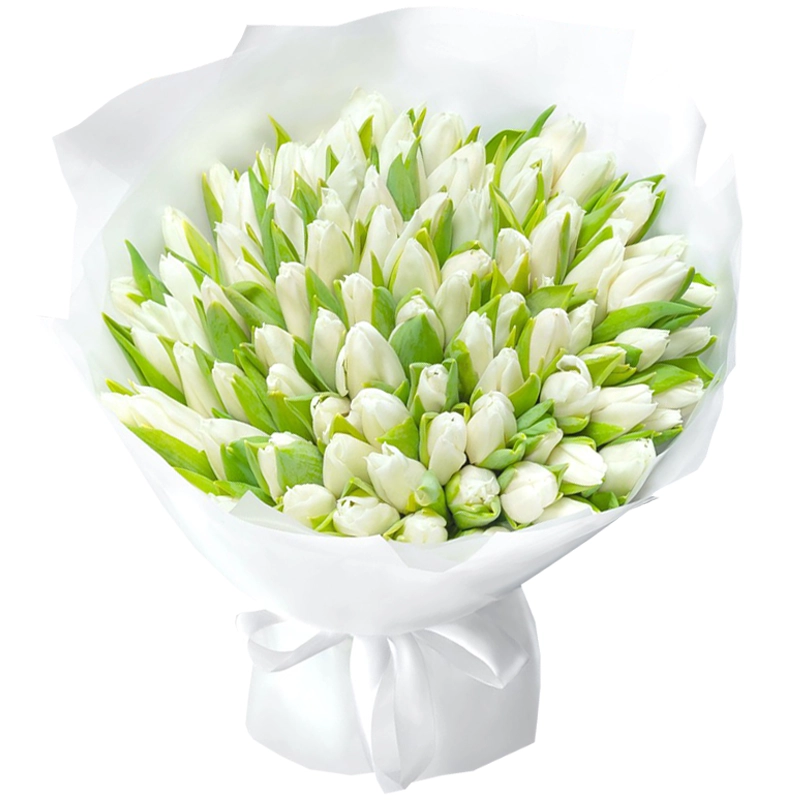 101 белый тюльпан